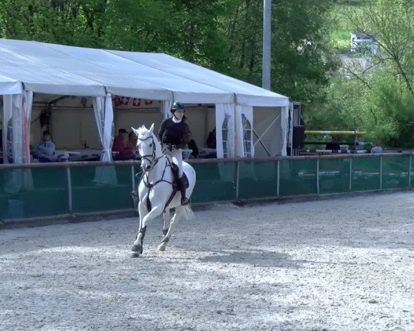Reitturnier Schüpfheim 2025