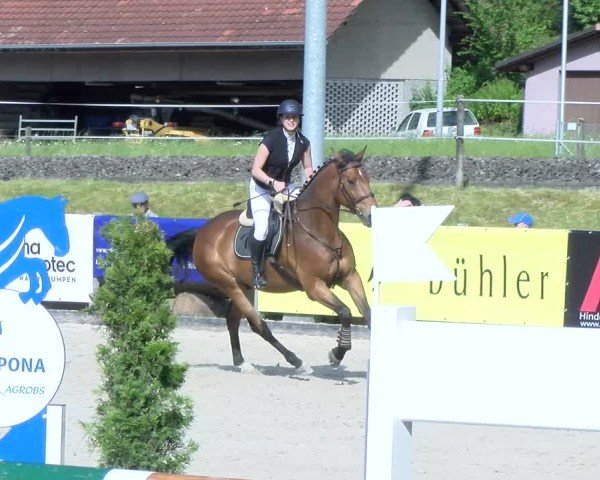 Reitturnier Schüpfheim 2025