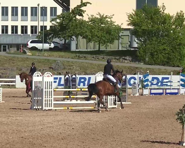 Reitturnier Kreuth/Opf. 2025
