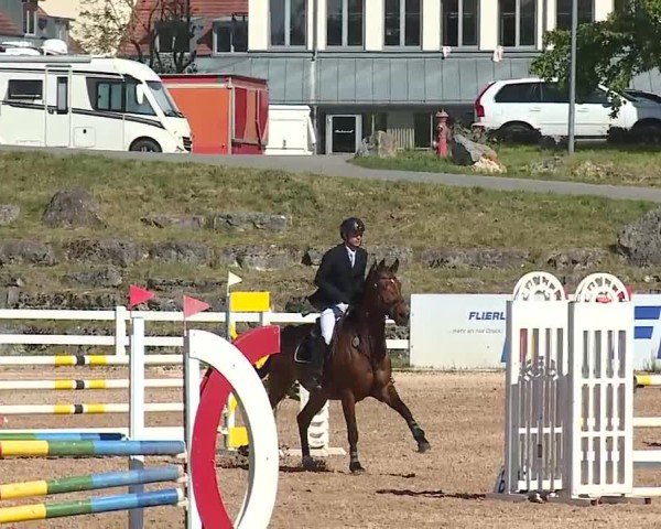 Reitturnier Kreuth/Opf. 2025