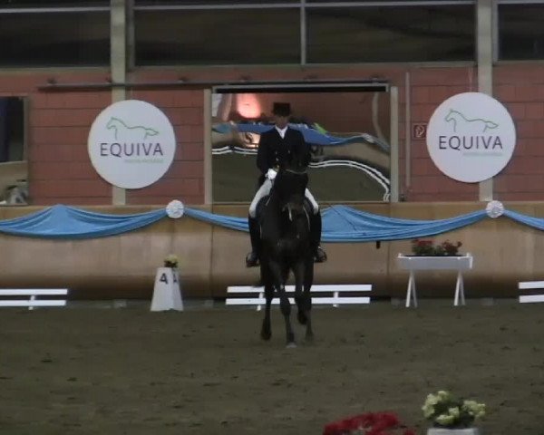 EQUIVA Dressur - Gala - Mönchengladbach - Schloss Wickrath 2014