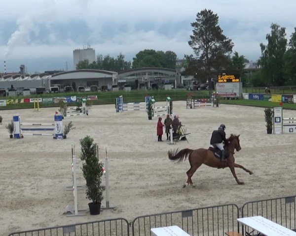 Reitturnier Werdenberg 2025