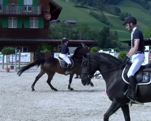 Reitturnier Schüpfheim 2025