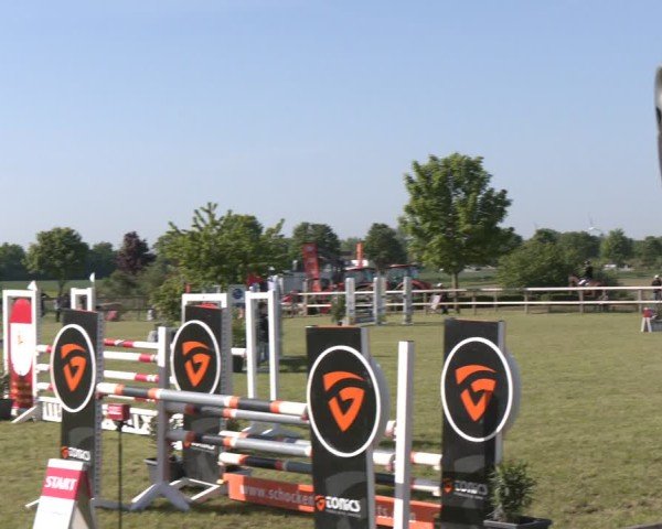 Reitturnier Wilkenburg 2025