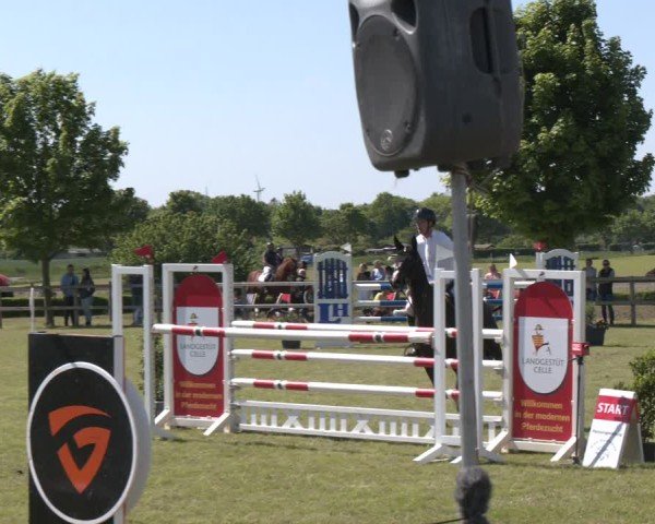 Reitturnier Wilkenburg 2025