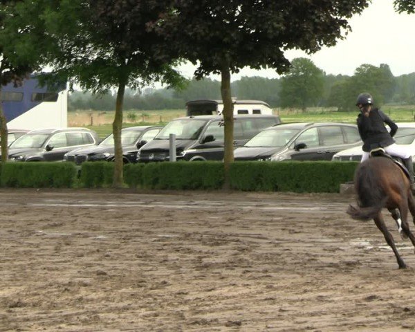 Reitturnier Lentzke - Reitanlage Krehl 2025