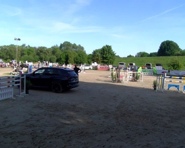 Reitturnier Dorsten 2025