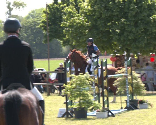 Reitturnier Wilkenburg 2025