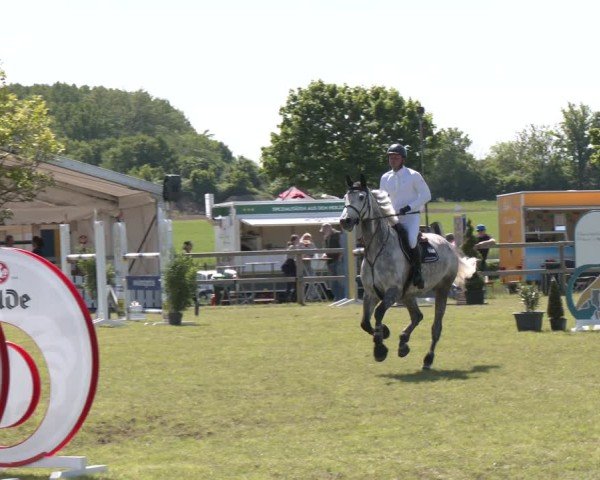 Reitturnier Wilkenburg 2025