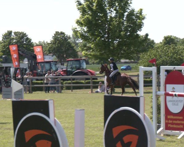 Reitturnier Wilkenburg 2025