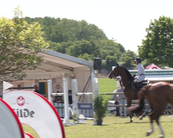 Reitturnier Wilkenburg 2025