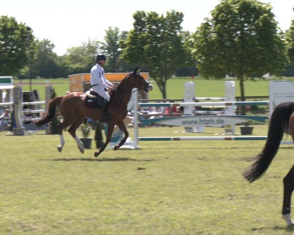 Reitturnier Wilkenburg 2025