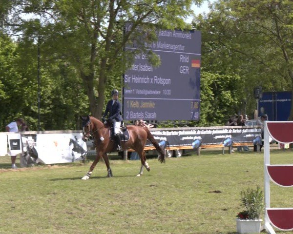 Reitturnier Wilkenburg 2025