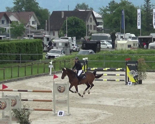 Reitturnier Werdenberg 2025