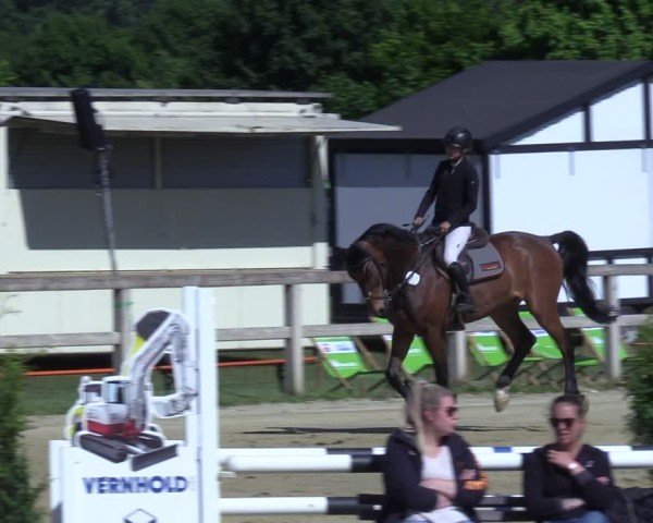 Video von Tabe's Stoffel
