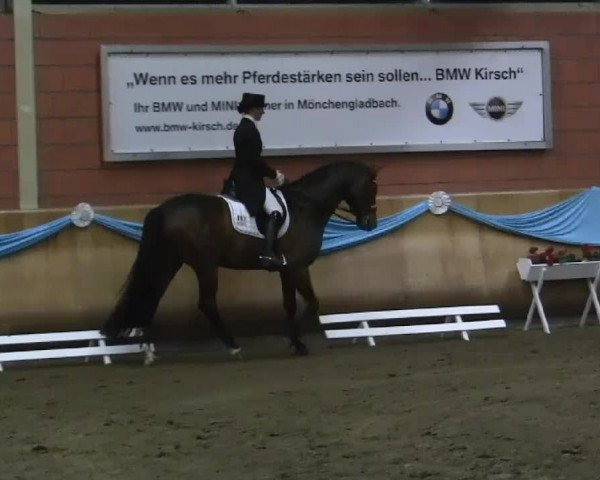 EQUIVA Dressur - Gala - Mönchengladbach - Schloss Wickrath 2014