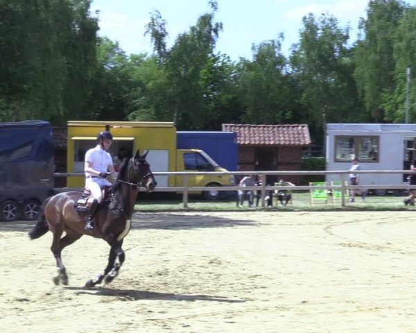 Reitturnier Lienen 2025