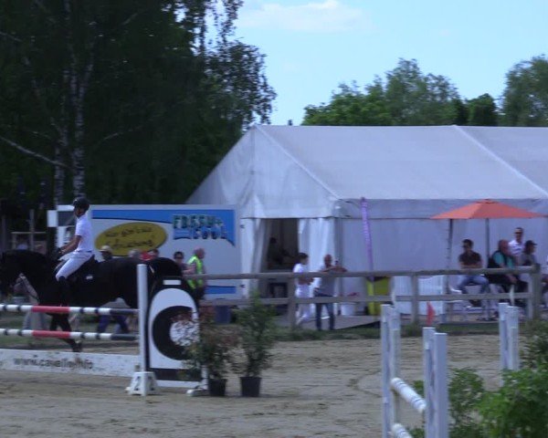 Reitturnier Lienen 2025
