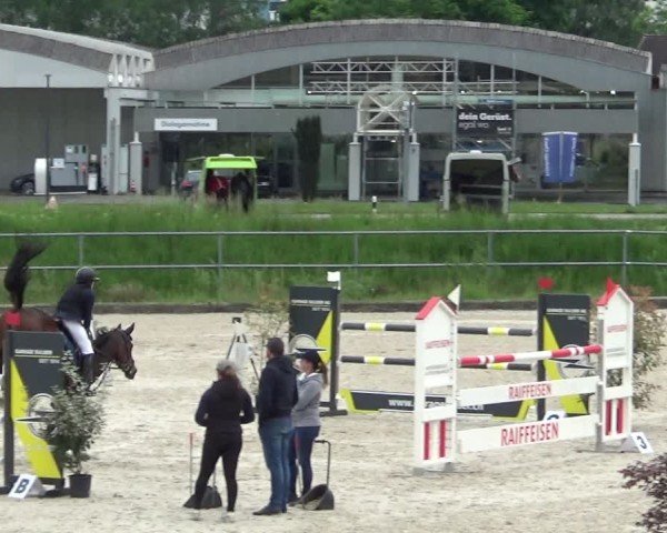 Reitturnier Werdenberg 2025