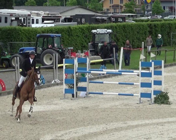 Reitturnier Werdenberg 2025
