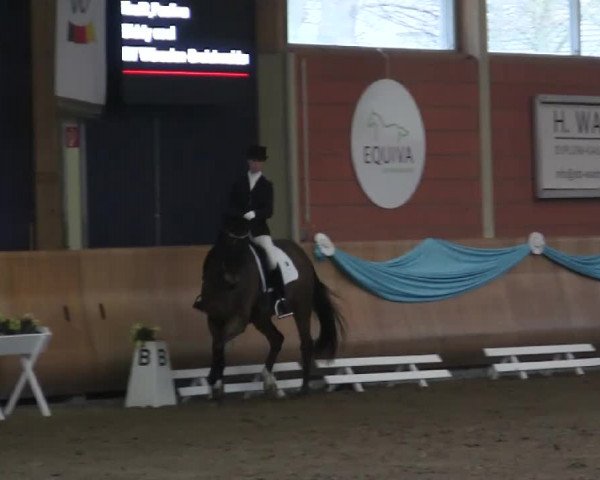 EQUIVA Dressur - Gala - Mönchengladbach - Schloss Wickrath 2014