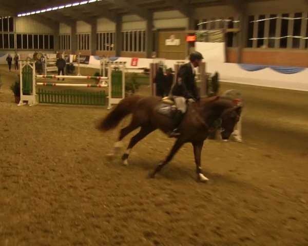Hallen-Springturnier Greven 2014
