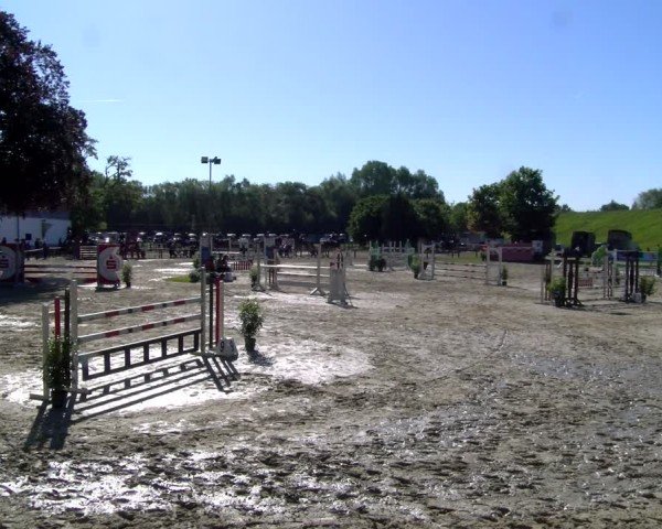 Reitturnier Dorsten 2025