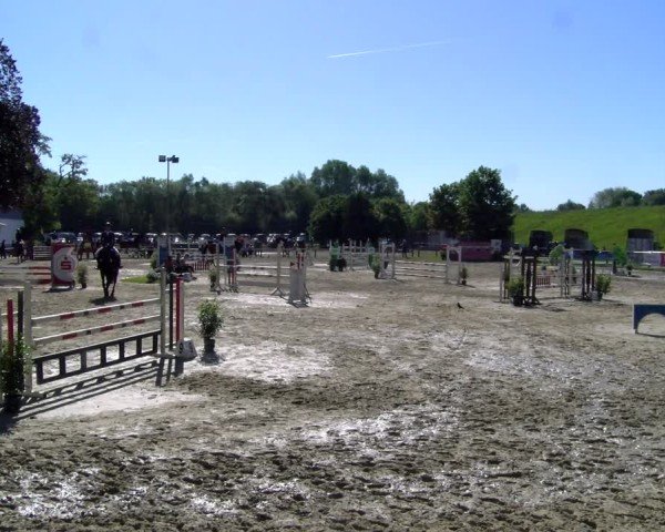Reitturnier Dorsten 2025