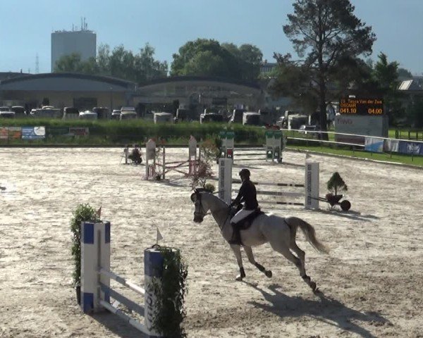 Reitturnier Werdenberg 2025
