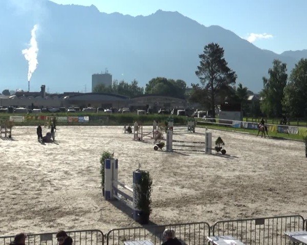 Reitturnier Werdenberg 2025