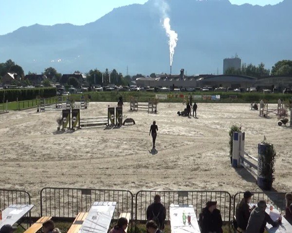 Reitturnier Werdenberg 2025