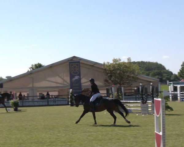 Reitturnier Wilkenburg 2025