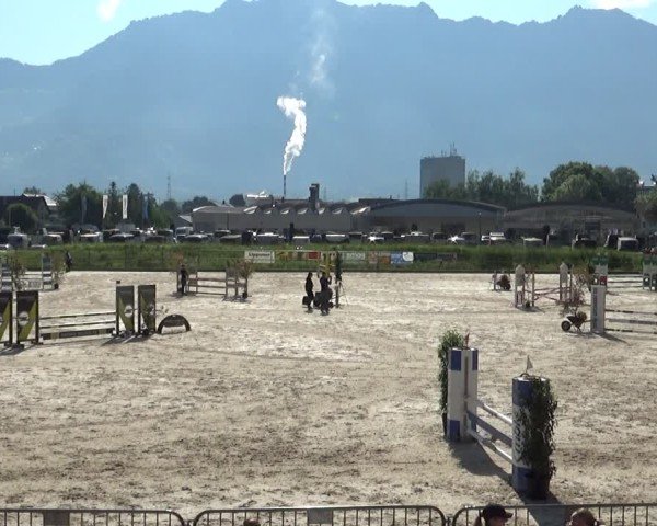Reitturnier Werdenberg 2025