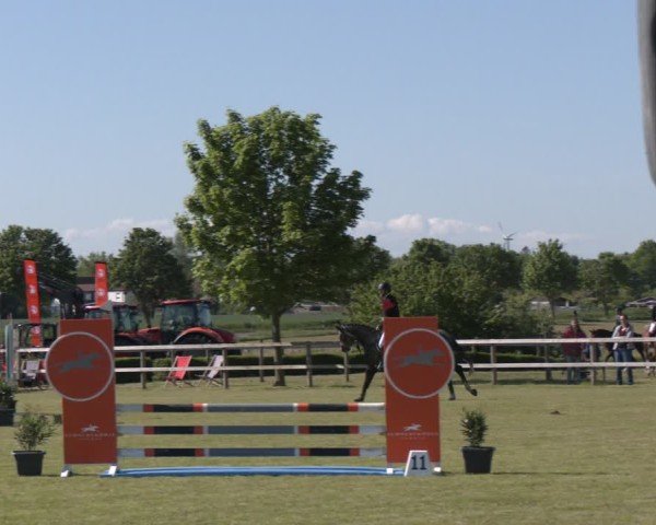 Reitturnier Wilkenburg 2025