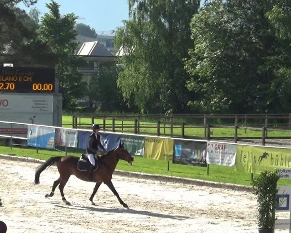 Reitturnier Werdenberg 2025
