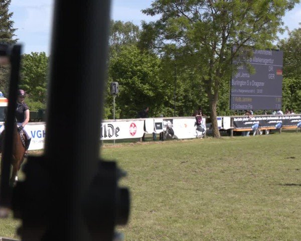 Reitturnier Wilkenburg 2025