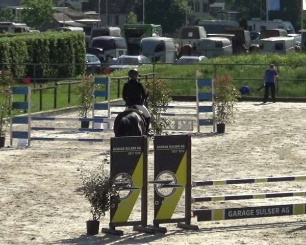 Reitturnier Werdenberg 2025