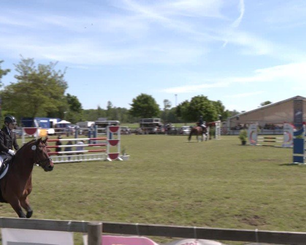 Reitturnier Wilkenburg 2025