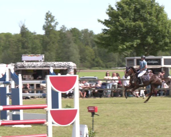 Reitturnier Wilkenburg 2025