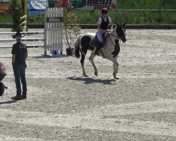Reitturnier Werdenberg 2025