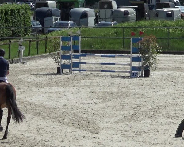 Reitturnier Werdenberg 2025