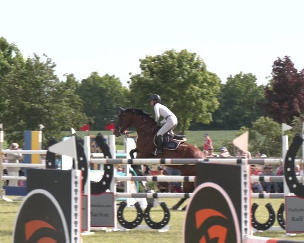 Reitturnier Wilkenburg 2025