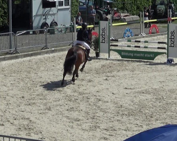 Reitturnier Werdenberg 2025