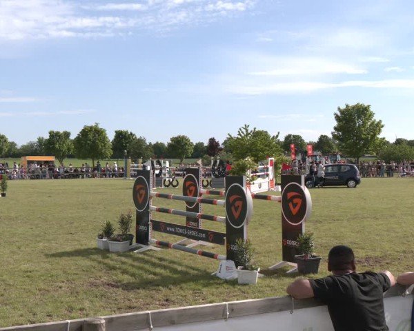 Reitturnier Wilkenburg 2025