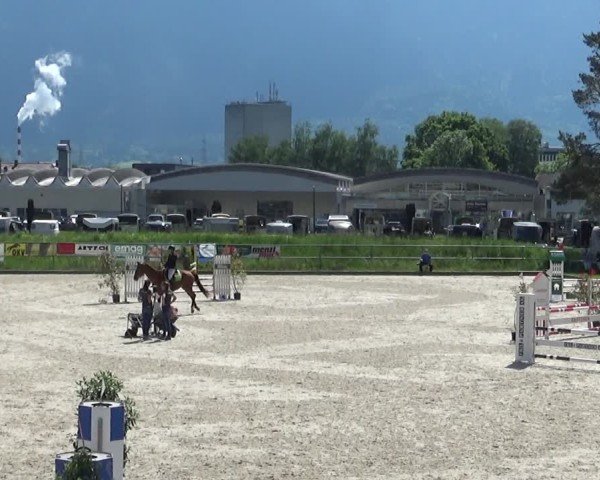 Reitturnier Werdenberg 2025