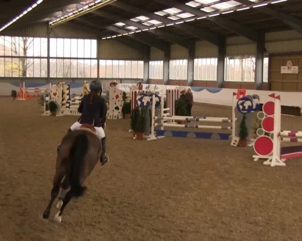 Hallen-Springturnier Greven 2014