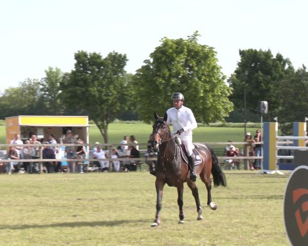 Reitturnier Wilkenburg 2025