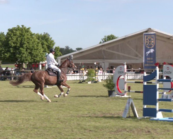 Reitturnier Wilkenburg 2025