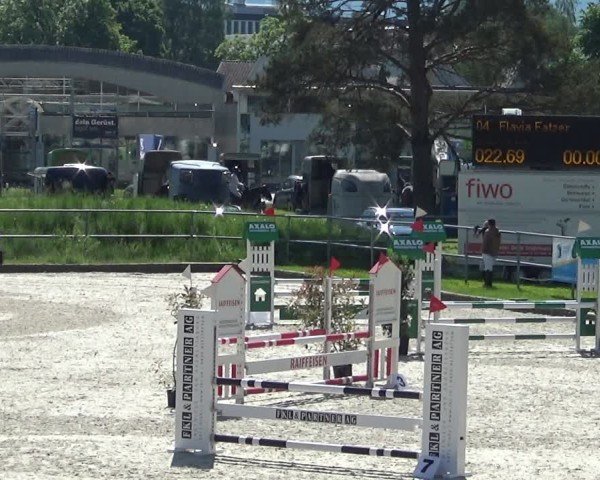 Reitturnier Werdenberg 2025