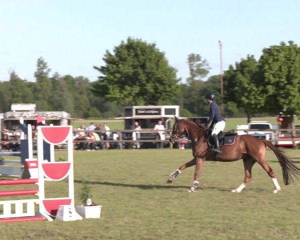 Reitturnier Wilkenburg 2025